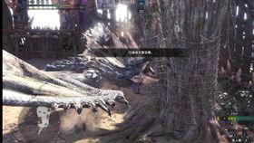 苍火龙视频,揭秘神秘生物的传奇故事